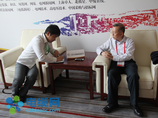 Imported High-end Insulating Materials Impacting E.. 